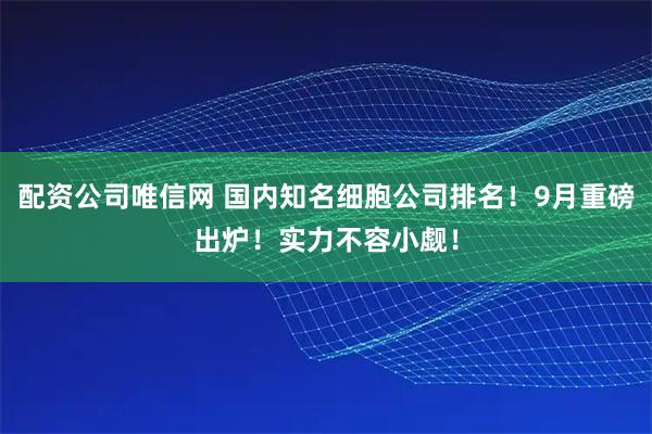 配资公司唯信网 国内知名细胞公司排名！9月重磅出炉！实力不容小觑！