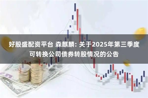 好股盛配资平台 森麒麟: 关于2025年第三季度可转换公司债券转股情况的公告