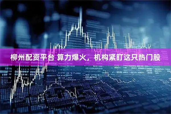 柳州配资平台 算力爆火，机构紧盯这只热门股