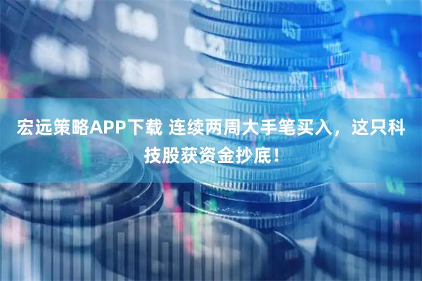 宏远策略APP下载 连续两周大手笔买入，这只科技股获资金抄底！